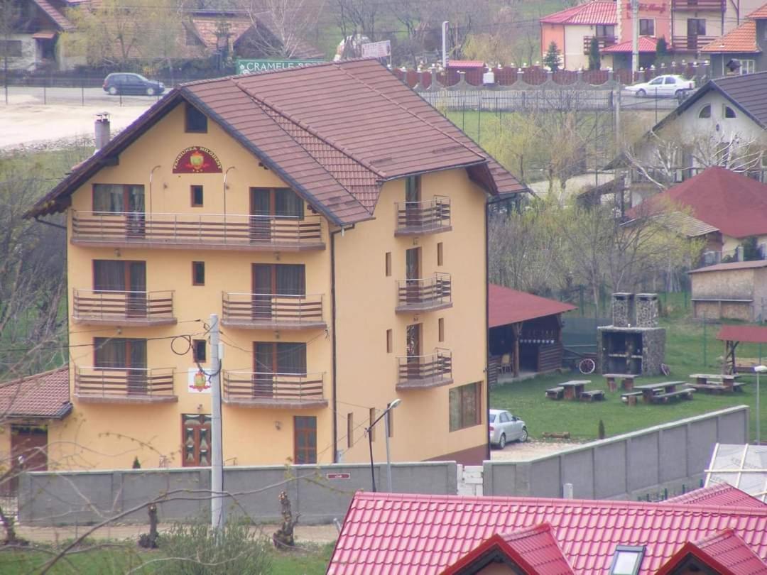 Pensiunea Riffelt Бран Екстериор снимка